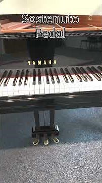 What do the pedals do on the piano? A tutorial for beginning pianists.