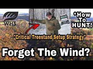 Critical Wind Direction Strategy For New Treestand Setups