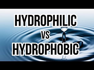 Hydrophilic vs. Hydrophobic