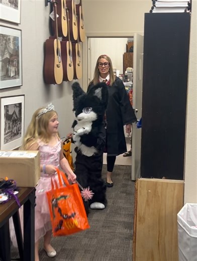 Spring Valley Elementary School on Reels