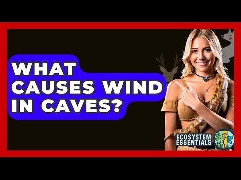 What Causes Wind In Caves? - Ecosystem Essentials