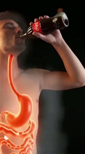 Drinking Coca-Cola: What Really HappensInside Your Body | 3D Digestive SystemAnimation