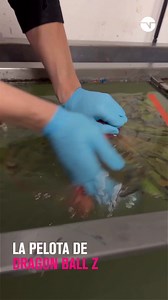 78K views · 856 reactions | La pelota perfecta no exist...  htf_wassertransferdruck | TNT Sports Argentina | Facebook