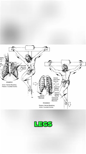 Crucifixion: The Gruesome Final Stage of Execution #shorts
