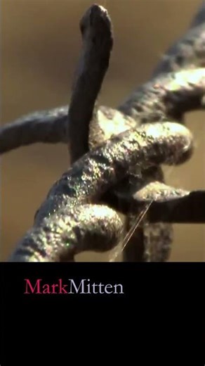Mark Mitten - "Mexico"| Haunting Folk-Rock Ballad (Official Video)