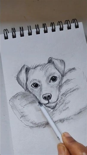 Dog face drawing in a simple way#animalart#Pencil art#shortvideo
