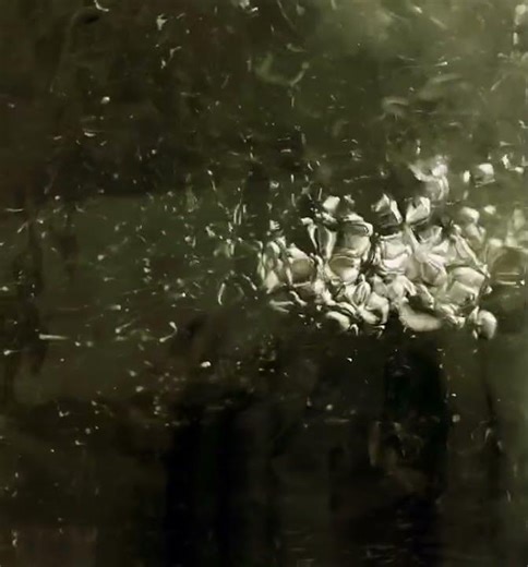 Inspirace všude kolem nás