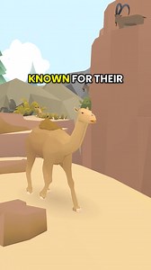 Do you know the difference between a camel with one vs. two humps? 🐪❓🐫 | Cell to Singularity