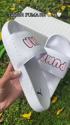 គណនីដែលបានណែនាំ