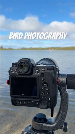 Bird photography at a local lake with the Nikon z9. #nikonz9 #birding