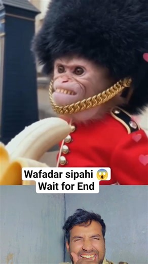 Duty First! 😂 Itna wafadar Sipahi? 🐒💂‍♂️ #shorts #comedy #funny