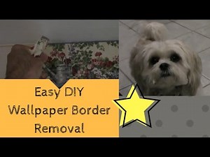 Easy DIY Wallpaper Border Removal