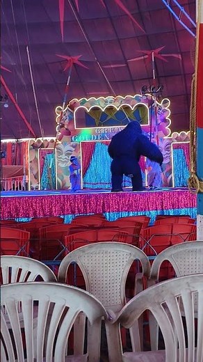 "Great golden Circus Kharghar Navi Mumbai 🎪 | Funny Gorilla Dance Performance 🐵 | Circus Show 2025"