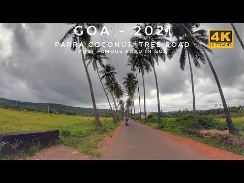 Parra Coconut Tree Road, Most Famous Road In Goa, India 4k | Goa Vlog |Must Visit Place When In goa
