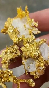 21K views · 493 reactions | Cleaning Up To Make It More Shiny Crystallized Gold #goldcleaning #superbrightgold #crystallizedgold #fyp | Goldbay Private Reserve | Facebook