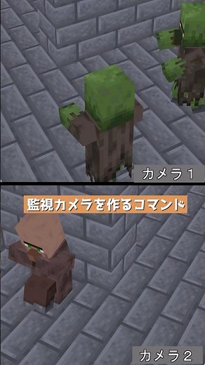 監視カメラを作るコマンド【コマンド】