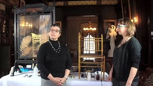 Andrea Carneiro speaks with Carola Schueller, Objects Conservator about her work at the Preservation Society. | Newport Mansions | Facebook