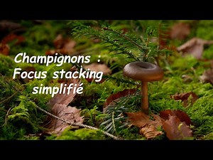 My method for simplifying and better mastering focus stacking on a mushroom