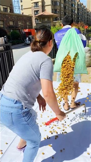 Princess Girls Premium pistachio unboxing ASMR video enjoy 🧕#pistachio #dryfruits