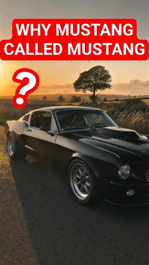 Why Are Mustang Cars Called “Mustang”? Listen to This Sound… 🐎🔥
