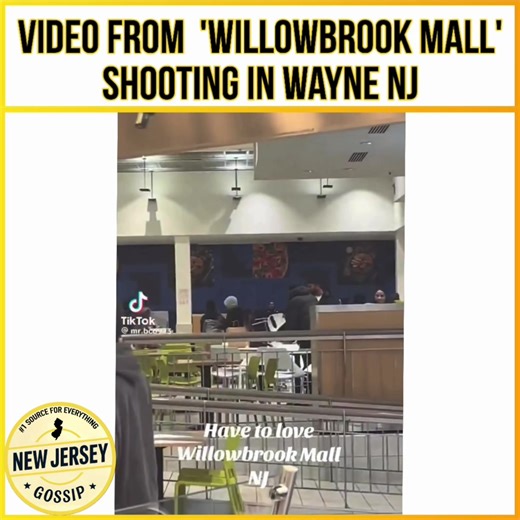 Willowbrook Mall Shooting Video Highlights Multiple Shooters