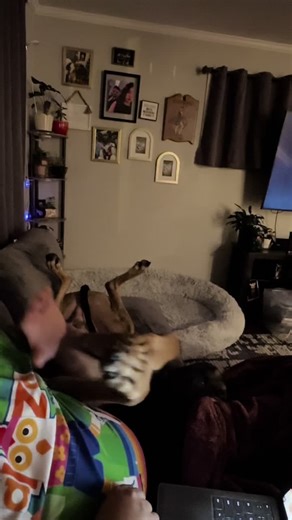 Winston's Joyful Playtime with Justin's Mischief