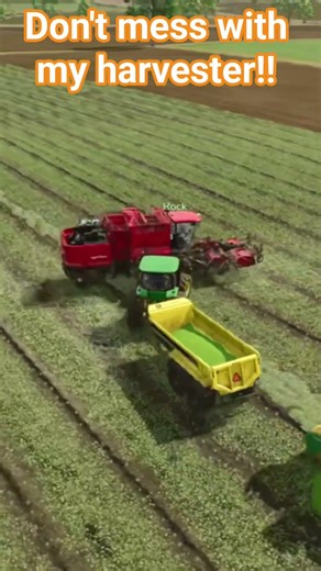 Blocking hard so we can finish the Peas #farmingsimulator25 #badpunkingaming #harvesting