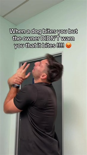 Why do dog owners always tell you that their dog bites AFTER it bites you!