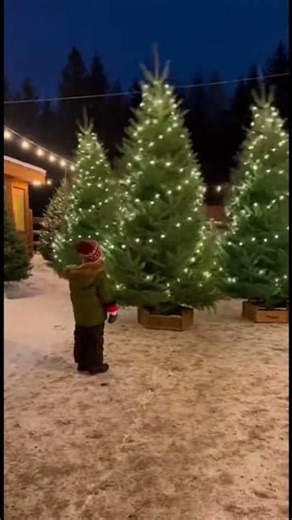What? The Christmas tree is dancing! #christmas #xmas #merrychristmas #shorts #viral
