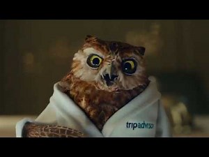 Tripadvisor "Búho" - anuncio en español (30')