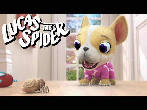 Watch Out for Avocado on Lucas the Spider