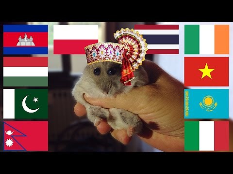 Hampter in different languages meme