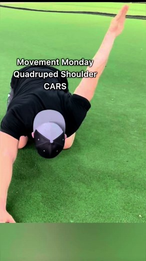 Shoulder CARs for Enhanced Baseball Performance