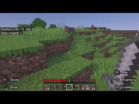 Minecraft speed run. And a 100 days