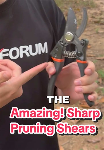 Cuts like butter. Why is this pruning shears cut so easy in yard work and gardening routine, pruning job. this is sharp #yardwork #gardening #pruning #gardeningtools #gardentok