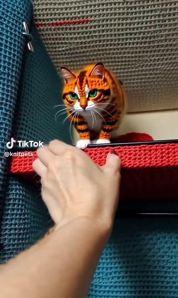 Adorable Knitty Tabbies: DIY Cat Toys and Care Tips