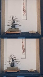 Anticipation of Spring