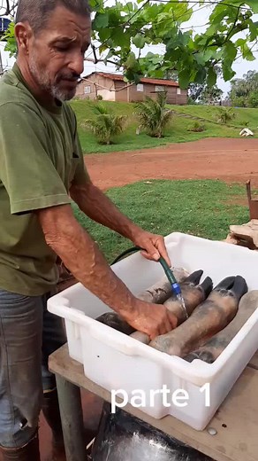 How to Properly Clean a Whole Pig Outdoors