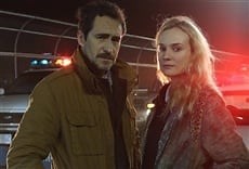 The Bridge - FX Online
