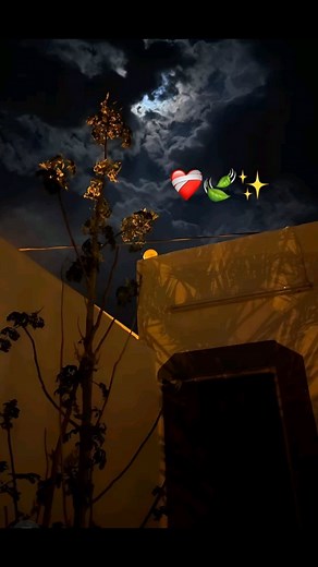 Samr Sãmir on Instagram‎: "كي تخرج عندك Instagram مستخدم مطلعلها متهبطلها صحبي راهي غير30يوم برك ونحيها متزعفش 😂❤"‎