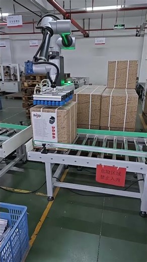 How Stable Is Robotic Palletizing? Watch This!