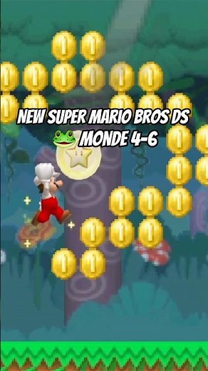 🐸 Monde 4-6 | New Super Mario Bros. DS