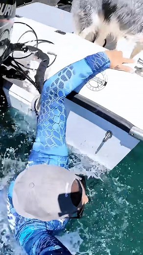 62K views · 472 reactions | venomous sea snakes mating | Brodiemoss | Facebook