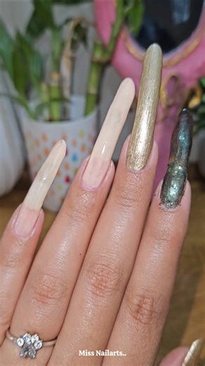 Beautiful Nailpaint on Super long Nails✨️Miss Nailarts🌸 #Nails #Nailarts