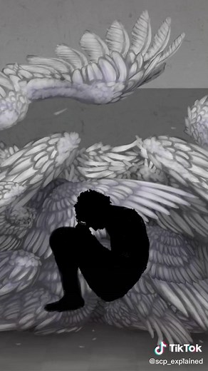 [REDACTED] on TikTok