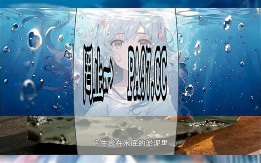 篮 球 怎 么 玩 法 介 绍 新 手 ？ |UTDOKZ