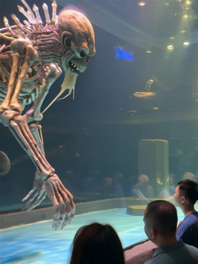 Explore the New Aquarium Attraction Featuring Cryptids