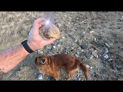 First Rock Hunt of 2026 at Railroad Buttes | South Dakota Rockhounding