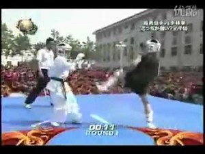 极真空手道VS少林拳.flv