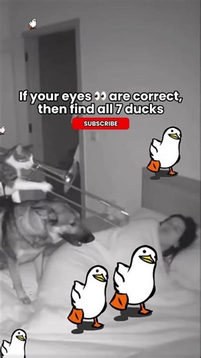 Spot All 7 Ducks (99% fail) #brainrot 🦆
